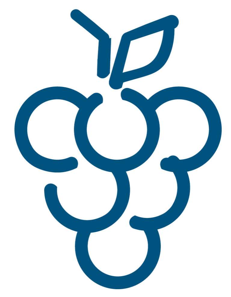 Picto vigne