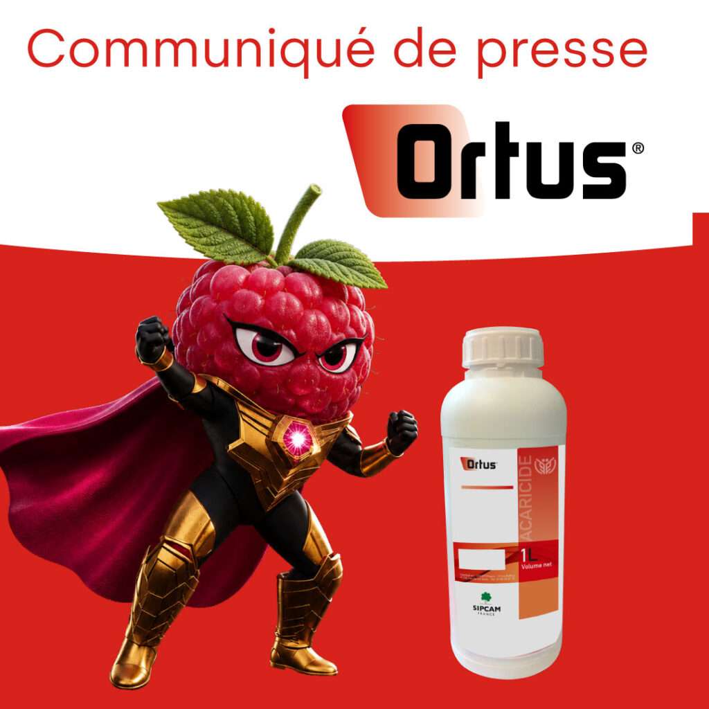 Dérogation acaricide Ortus sur framboises